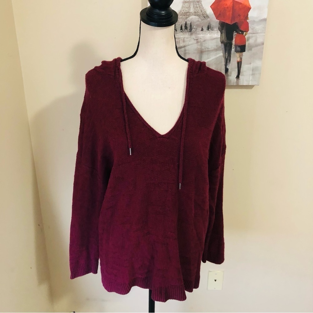 American Eagle Hooded Knit Sweater
